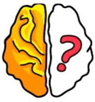 Brain Out